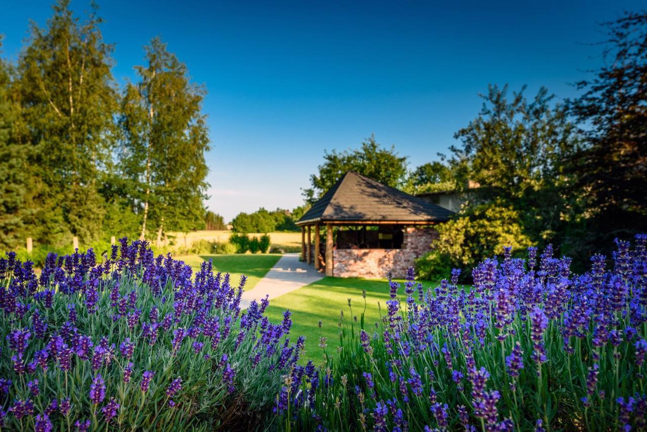 Villa Natura Zator Przeciszow エクステリア 写真